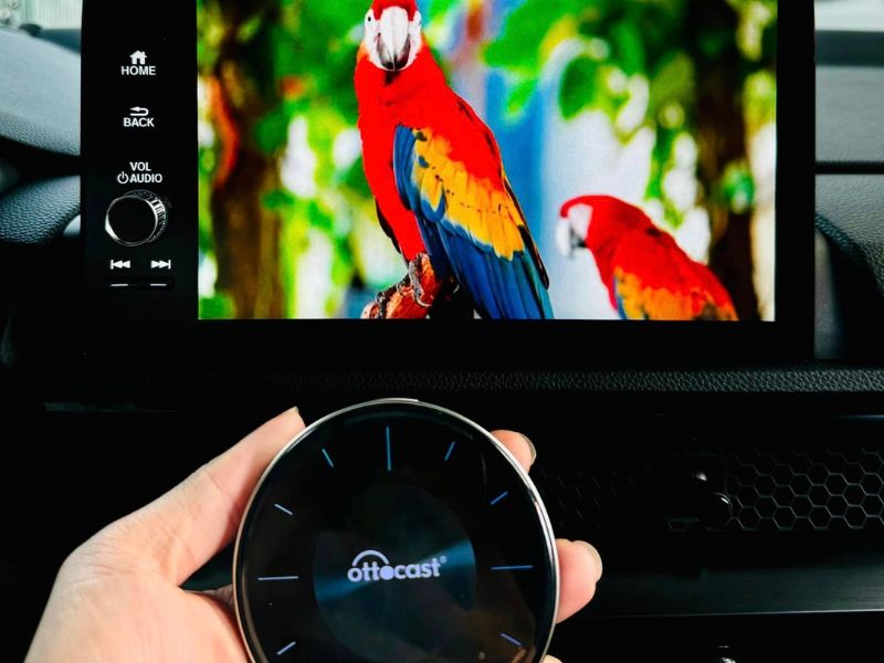 Chi phí tiết kiệm hơn rất nhiều